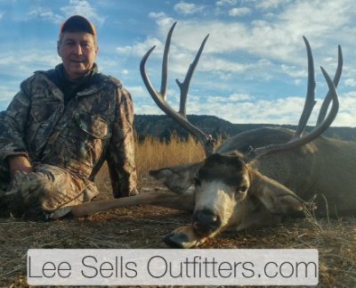 Colorado Mule Deer