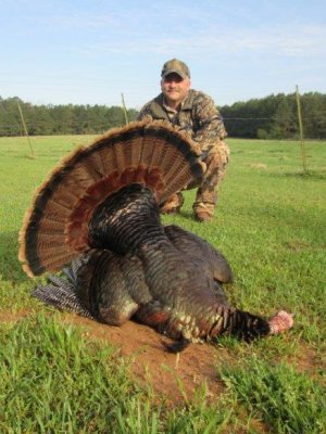 Alabama Turkey